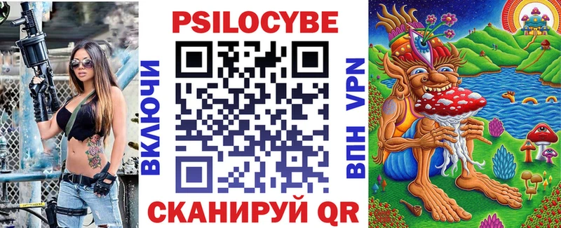 что такое   Правдинск  Галлюциногенные грибы Psilocybe 